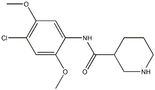 N-(4-chloro-2,5-dimethoxyphenyl)piperidine-3-carboxamide 结构式