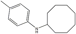 N-(4-methylphenyl)cyclooctanamine 结构式