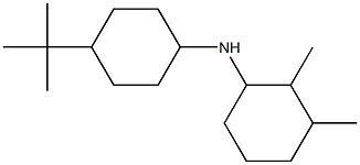 N-(4-tert-butylcyclohexyl)-2,3-dimethylcyclohexan-1-amine 结构式