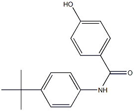 N-(4-tert-butylphenyl)-4-hydroxybenzamide 结构式