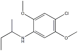 N-(butan-2-yl)-4-chloro-2,5-dimethoxyaniline 结构式