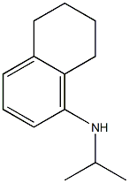 N-(propan-2-yl)-5,6,7,8-tetrahydronaphthalen-1-amine 结构式