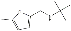 N-(tert-butyl)-N-[(5-methyl-2-furyl)methyl]amine 结构式