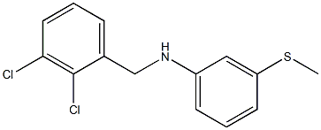 N-[(2,3-dichlorophenyl)methyl]-3-(methylsulfanyl)aniline 结构式