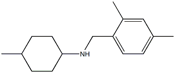 N-[(2,4-dimethylphenyl)methyl]-4-methylcyclohexan-1-amine 结构式