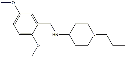 N-[(2,5-dimethoxyphenyl)methyl]-1-propylpiperidin-4-amine 结构式