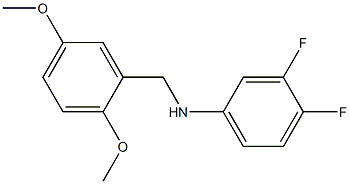 N-[(2,5-dimethoxyphenyl)methyl]-3,4-difluoroaniline 结构式