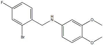 N-[(2-bromo-4-fluorophenyl)methyl]-3,4-dimethoxyaniline 结构式