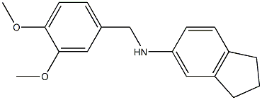 N-[(3,4-dimethoxyphenyl)methyl]-2,3-dihydro-1H-inden-5-amine 结构式
