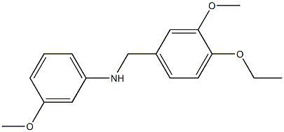 N-[(4-ethoxy-3-methoxyphenyl)methyl]-3-methoxyaniline 结构式