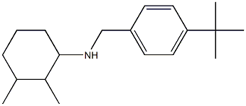 N-[(4-tert-butylphenyl)methyl]-2,3-dimethylcyclohexan-1-amine 结构式