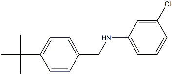 N-[(4-tert-butylphenyl)methyl]-3-chloroaniline 结构式