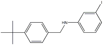 N-[(4-tert-butylphenyl)methyl]-3-iodoaniline 结构式