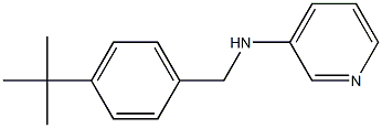 N-[(4-tert-butylphenyl)methyl]pyridin-3-amine 结构式