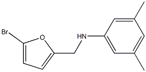 N-[(5-bromofuran-2-yl)methyl]-3,5-dimethylaniline 结构式