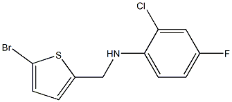 N-[(5-bromothiophen-2-yl)methyl]-2-chloro-4-fluoroaniline 结构式