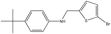 N-[(5-bromothiophen-2-yl)methyl]-4-tert-butylaniline 结构式