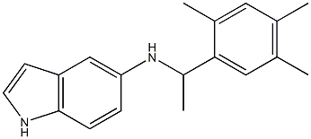 N-[1-(2,4,5-trimethylphenyl)ethyl]-1H-indol-5-amine 结构式