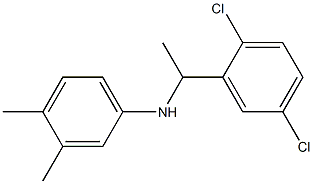 N-[1-(2,5-dichlorophenyl)ethyl]-3,4-dimethylaniline 结构式