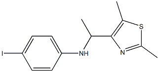 N-[1-(2,5-dimethyl-1,3-thiazol-4-yl)ethyl]-4-iodoaniline 结构式