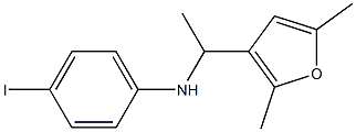 N-[1-(2,5-dimethylfuran-3-yl)ethyl]-4-iodoaniline 结构式