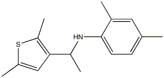 N-[1-(2,5-dimethylthiophen-3-yl)ethyl]-2,4-dimethylaniline 结构式