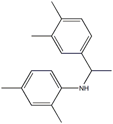 N-[1-(3,4-dimethylphenyl)ethyl]-2,4-dimethylaniline 结构式