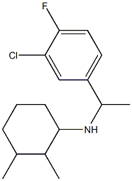 N-[1-(3-chloro-4-fluorophenyl)ethyl]-2,3-dimethylcyclohexan-1-amine 结构式