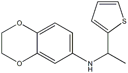 N-[1-(thiophen-2-yl)ethyl]-2,3-dihydro-1,4-benzodioxin-6-amine 结构式