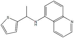 N-[1-(thiophen-2-yl)ethyl]quinolin-5-amine 结构式