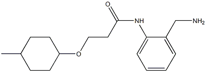N-[2-(aminomethyl)phenyl]-3-[(4-methylcyclohexyl)oxy]propanamide 结构式