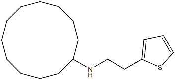 N-[2-(thiophen-2-yl)ethyl]cyclododecanamine 结构式