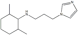 N-[3-(1H-imidazol-1-yl)propyl]-2,6-dimethylcyclohexan-1-amine 结构式