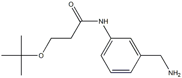 N-[3-(aminomethyl)phenyl]-3-(tert-butoxy)propanamide 结构式