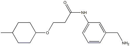 N-[3-(aminomethyl)phenyl]-3-[(4-methylcyclohexyl)oxy]propanamide 结构式