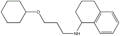 N-[3-(cyclohexyloxy)propyl]-1,2,3,4-tetrahydronaphthalen-1-amine 结构式