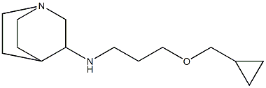 N-[3-(cyclopropylmethoxy)propyl]-1-azabicyclo[2.2.2]octan-3-amine 结构式