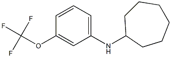 N-[3-(trifluoromethoxy)phenyl]cycloheptanamine 结构式