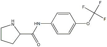 N-[4-(trifluoromethoxy)phenyl]pyrrolidine-2-carboxamide 结构式