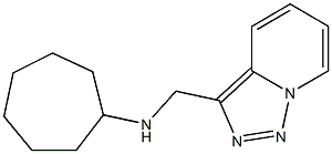 N-{[1,2,4]triazolo[3,4-a]pyridin-3-ylmethyl}cycloheptanamine 结构式