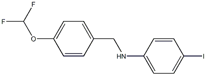 N-{[4-(difluoromethoxy)phenyl]methyl}-4-iodoaniline 结构式