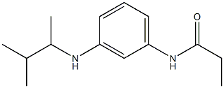 N-{3-[(3-methylbutan-2-yl)amino]phenyl}propanamide 结构式