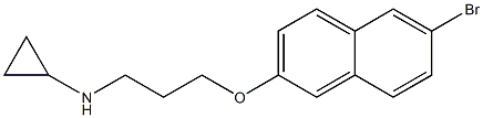 N-{3-[(6-bromonaphthalen-2-yl)oxy]propyl}cyclopropanamine 结构式