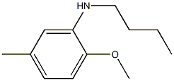 N-butyl-2-methoxy-5-methylaniline 结构式