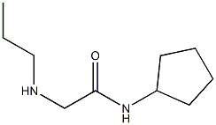 N-cyclopentyl-2-(propylamino)acetamide 结构式