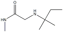 N-methyl-2-[(2-methylbutan-2-yl)amino]acetamide 结构式