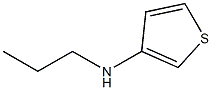 N-propyl-N-tetrahydrothien-3-ylamine 结构式