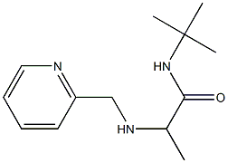 N-tert-butyl-2-[(pyridin-2-ylmethyl)amino]propanamide 结构式