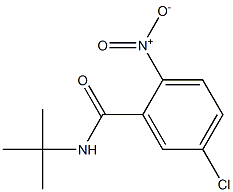 N-tert-butyl-5-chloro-2-nitrobenzamide 结构式