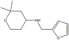 N-(2,2-dimethyltetrahydro-2H-pyran-4-yl)-N-(2-furylmethyl)amine 结构式